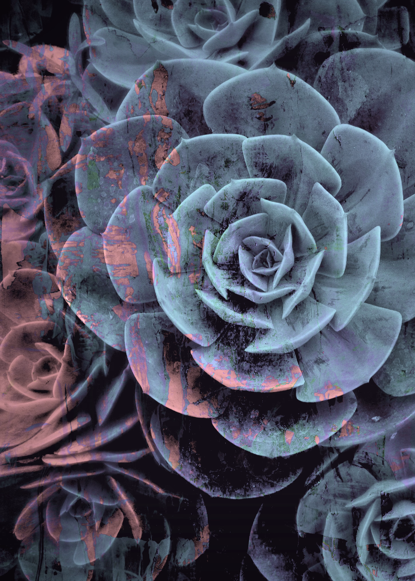 Preview of the Plant collection