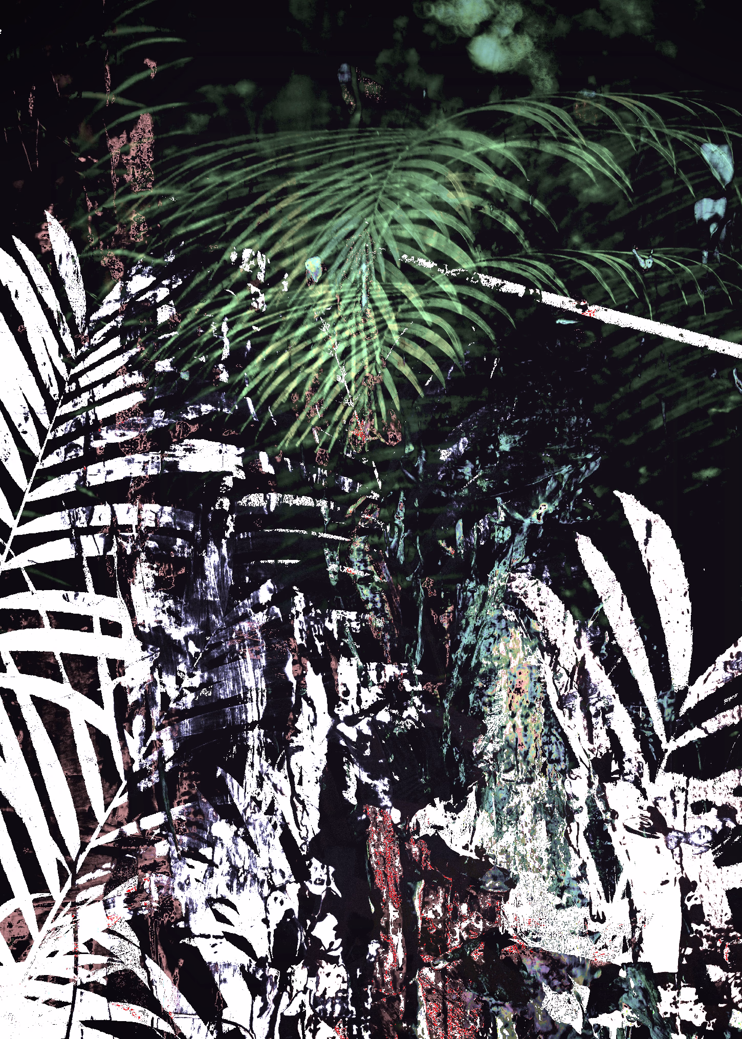 Plant print 3