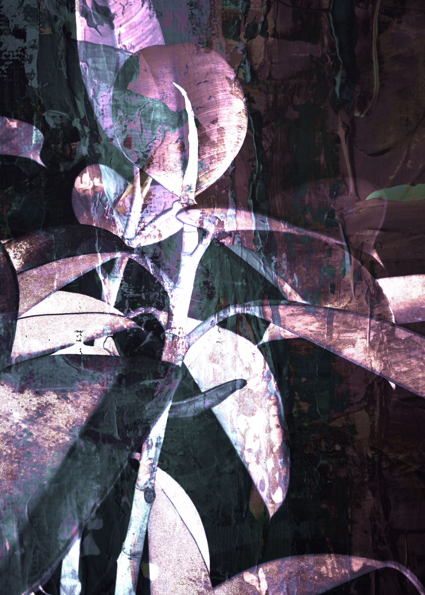 Plant print 6