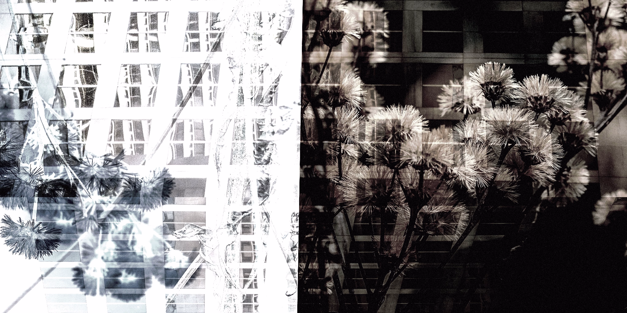 State of Mind print 5